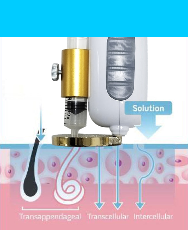 MaxCoo Hot &amp; Cool EMS Electroporación piel antienvejecimiento Lifting máquina de belleza